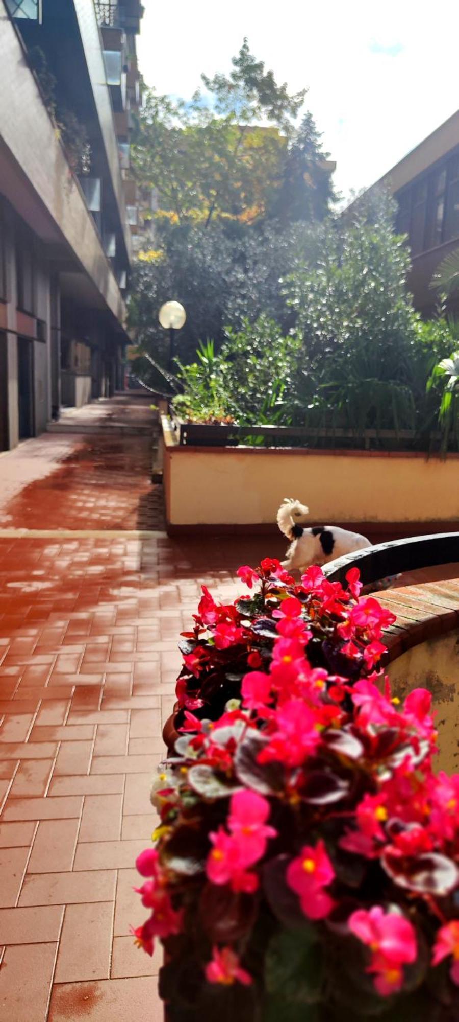 Gemme Fiorentine Apartments In Front Of The Train Station 5 Minutes From The Centre Free Parking Florencia Exterior foto