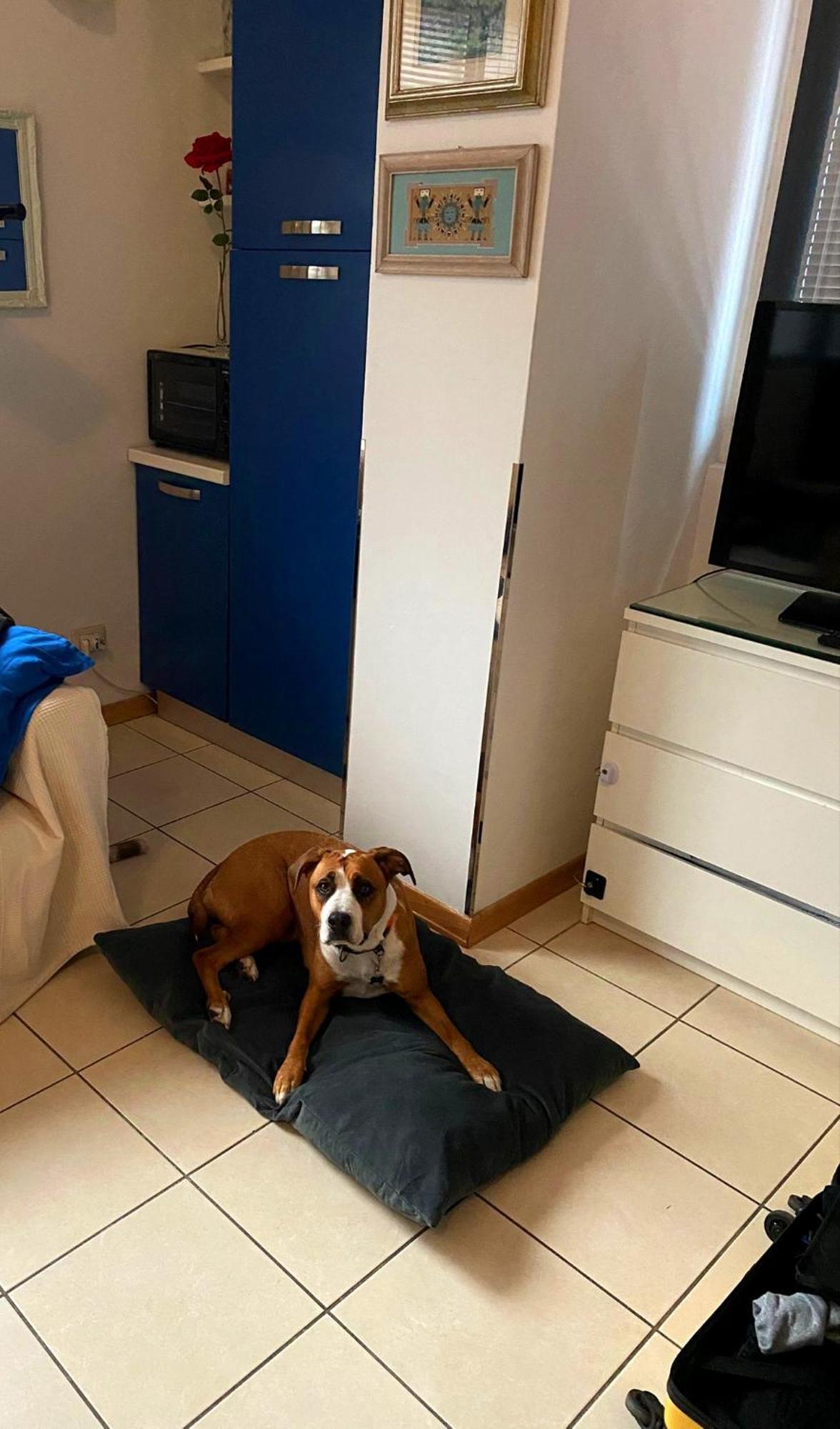 Gemme Fiorentine Apartments In Front Of The Train Station 5 Minutes From The Centre Free Parking Florencia Exterior foto