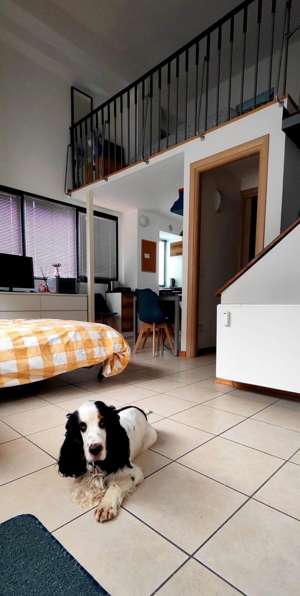 Gemme Fiorentine Apartments In Front Of The Train Station 5 Minutes From The Centre Free Parking Florencia Exterior foto